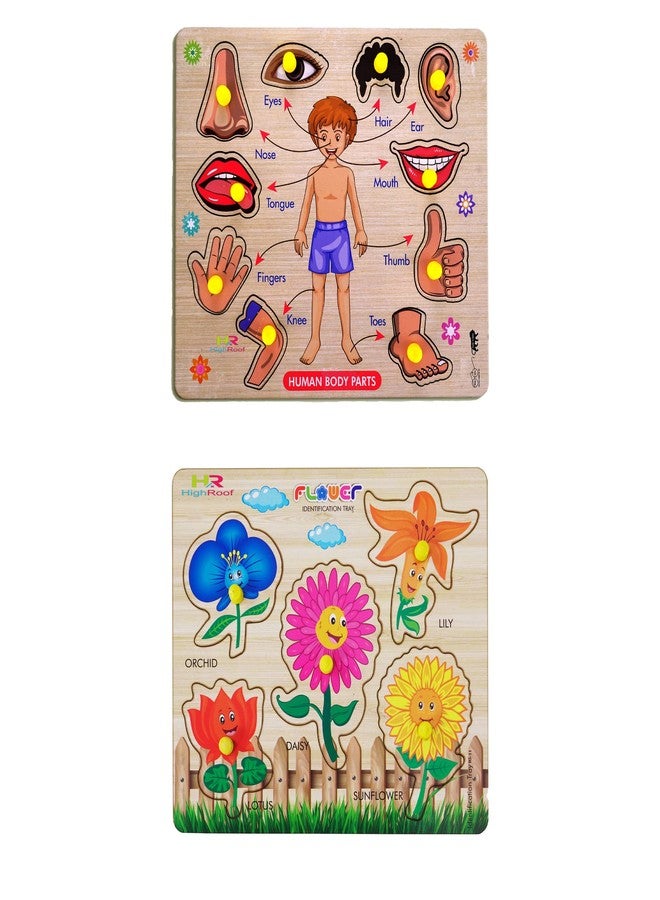 HIGHROOF® Kids Fort Pre Nursery Educational Jigsaw Puzzles for Adults Kids Learning Toys Kit Board Game 2 pcs Set of Human Body Parts & Flower Educational Toy - Image 1